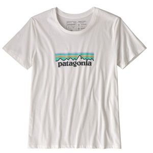 Patagonia Logo T Shirt